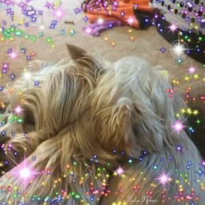 Meet your Posher, Jean